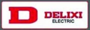Delixi Electric